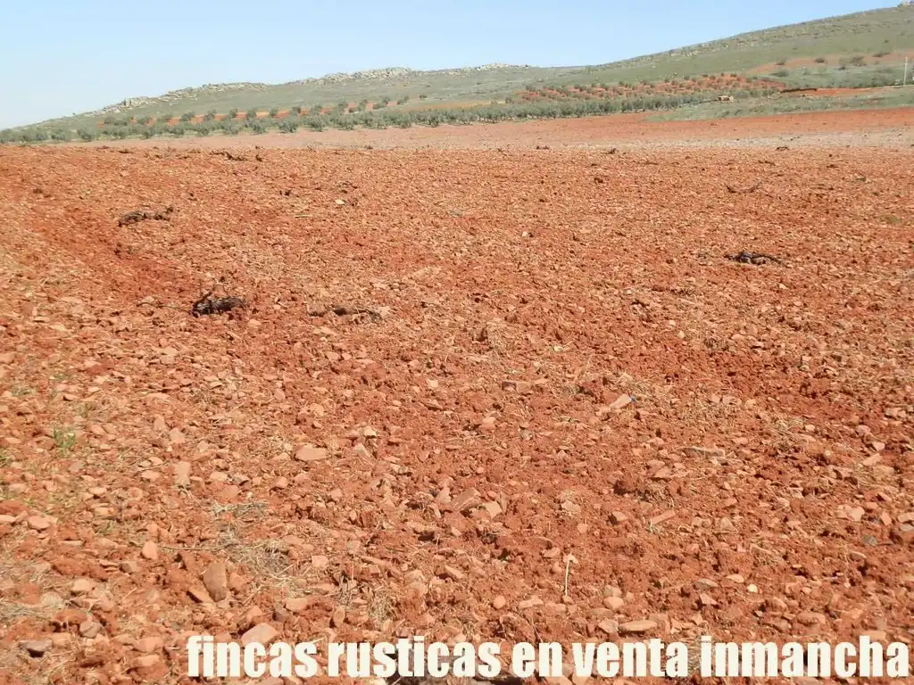 Rural land for sale in Valdepeñas, imagen 17