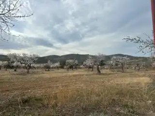 Finca rústica en venda en Les Coves de Vinromà amb Moblat