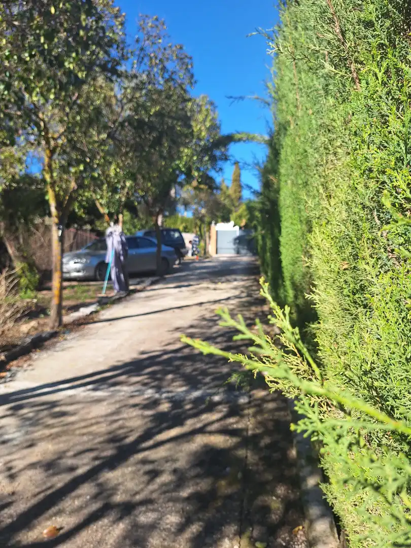 Vista exterior de Casa o chalet en venta en Torredonjimeno con Aire acondicionado, Calefacción y Jardín privado