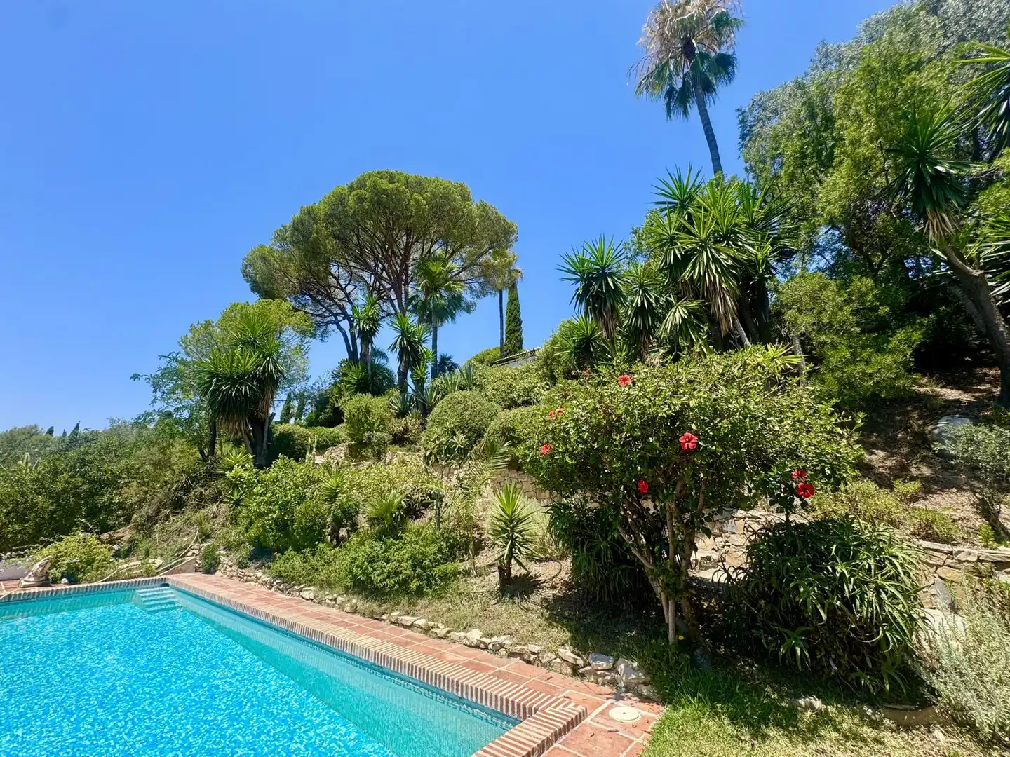 Jardín de Casa o chalet en venta en Benahavís con Aire acondicionado, Terraza y Piscina