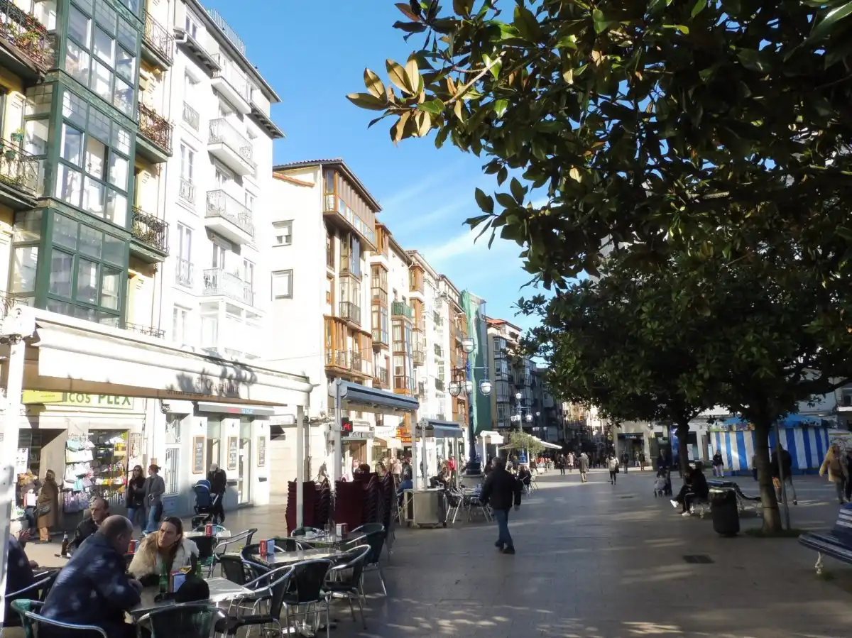 Wohnung zur Miete in Calle BURGOS, Numancia - San Fernando