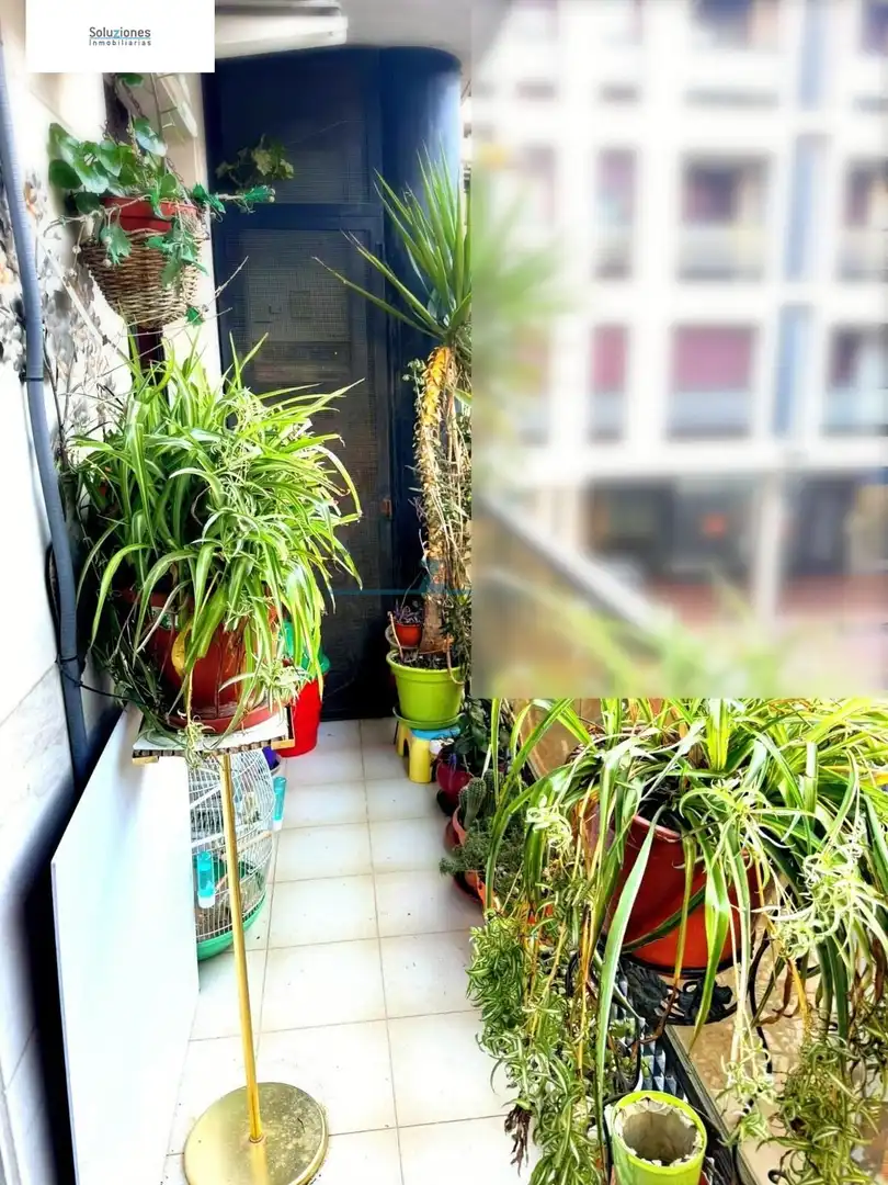 Apartamento con terraza en venta en Centro, imagen 5
