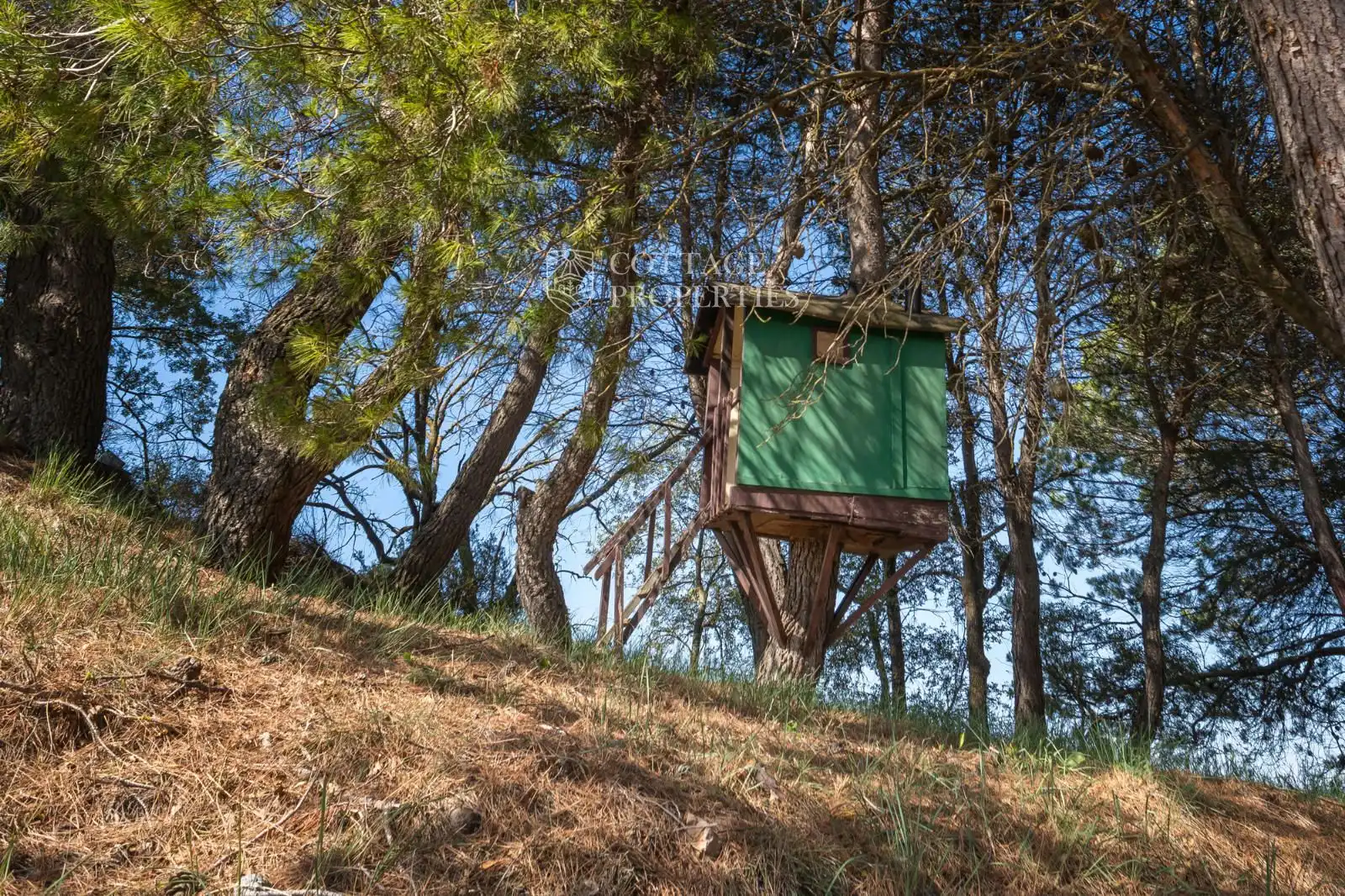 Jardín de Finca rústica en venta en Aguilar de Segarra con Calefacción