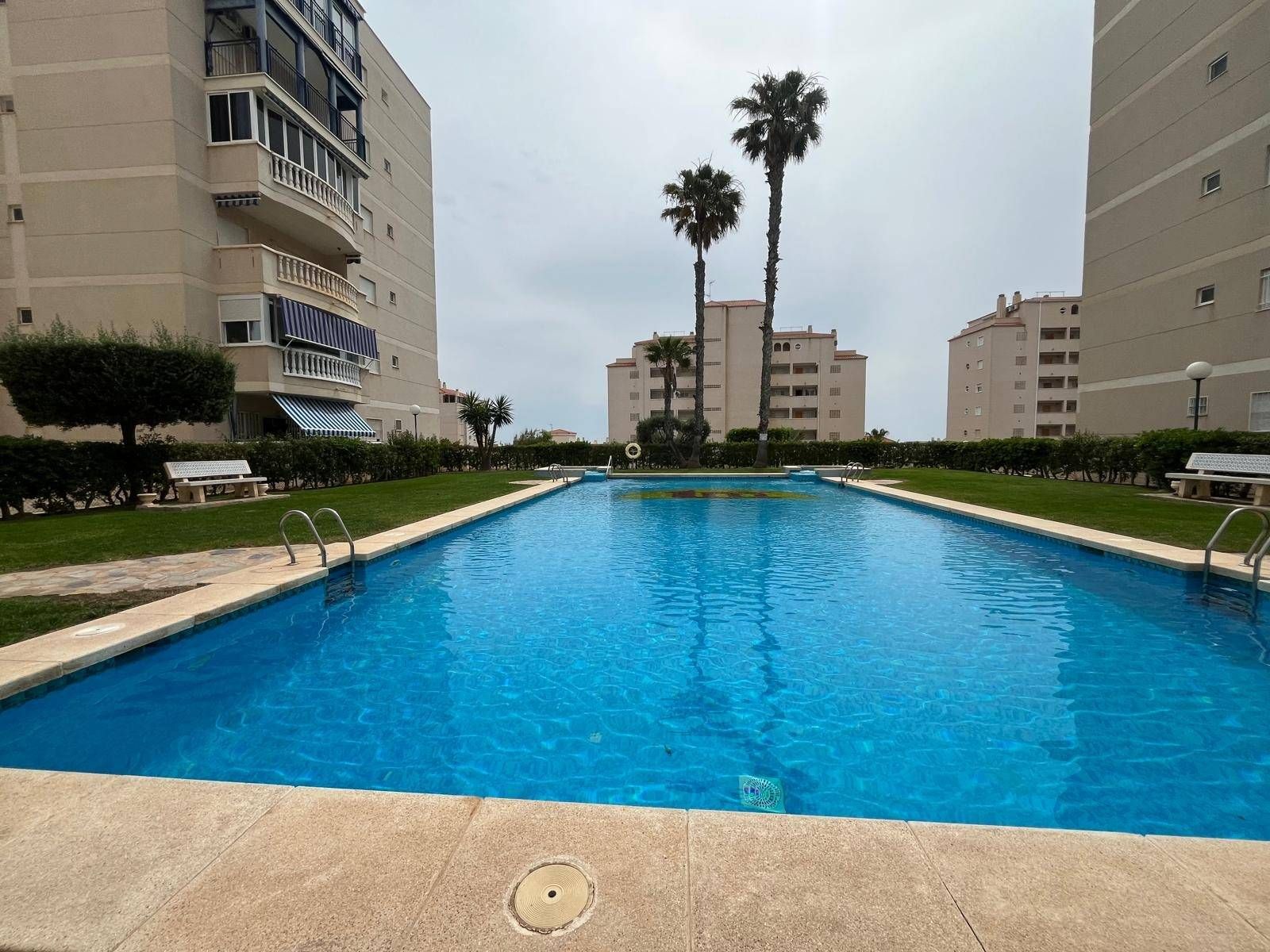 Swimming pool of Flat for sale in Elche / Elx  with Terrace, Balcony and Community pool