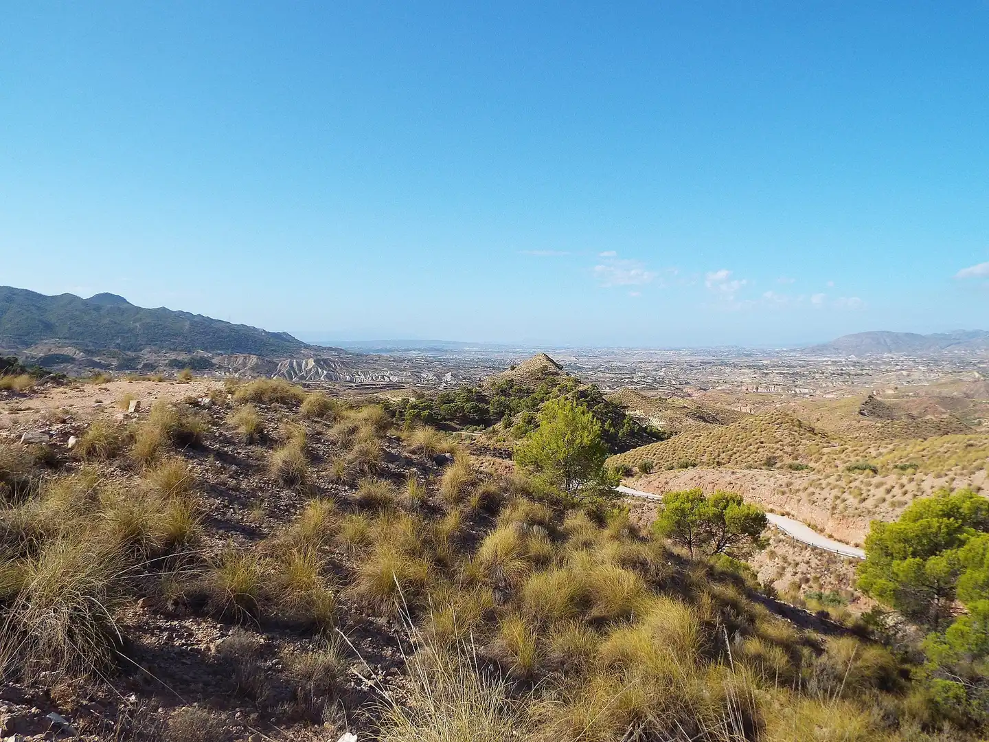 Lands and plots for sale in Abanilla, imagen 5