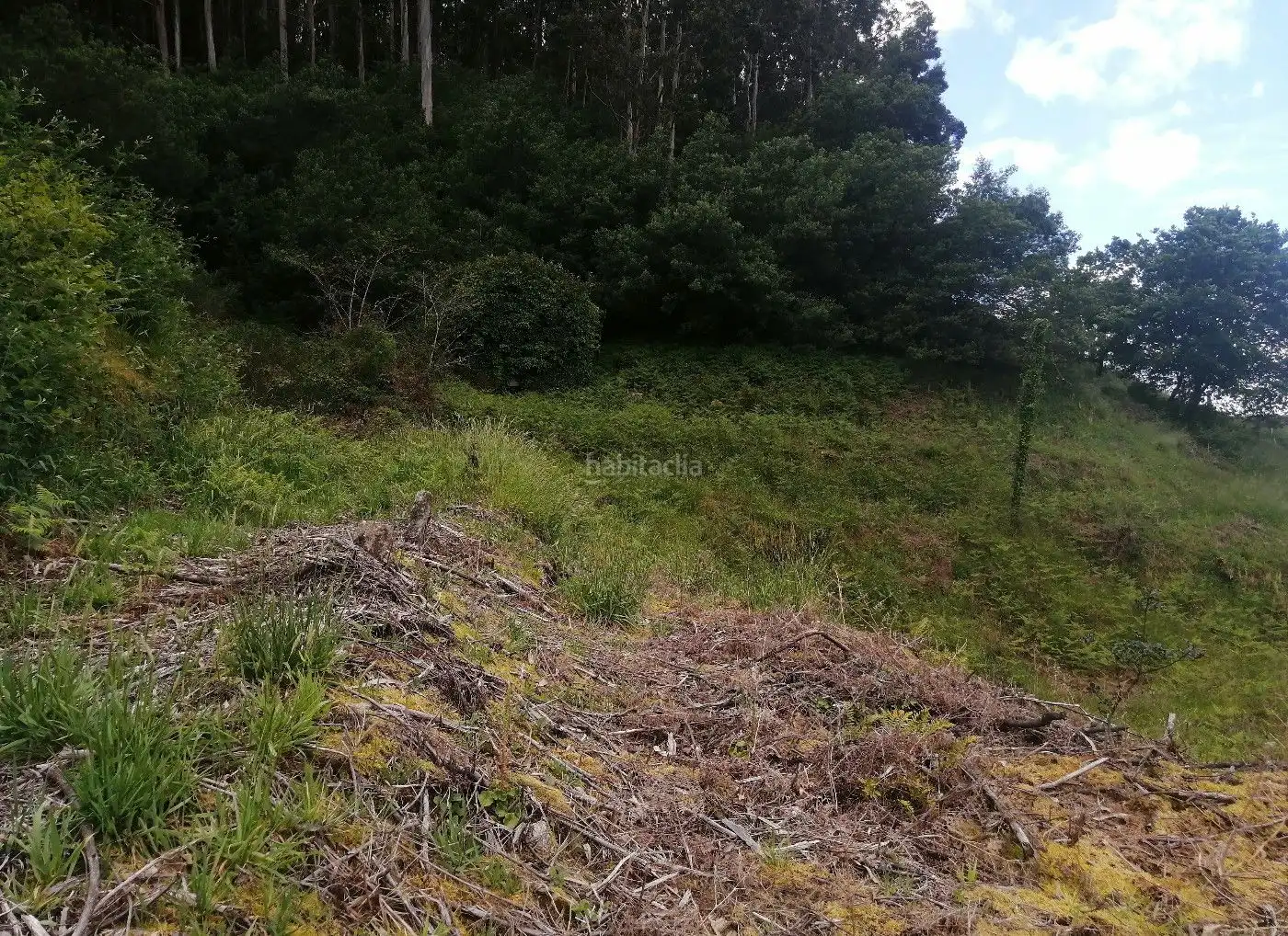 Grundstücke und Bauplätze zum Verkauf in Camiño da Cabadiña 1, imagen 5
