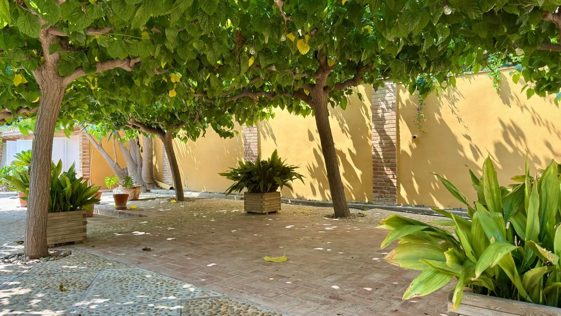 Jardí de Casa o xalet en venda en Alicante / Alacant amb Aire condicionat, Calefacció i Jardí privat