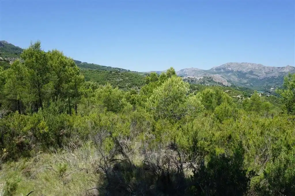 Land for sale in El Castell de Guadalest
