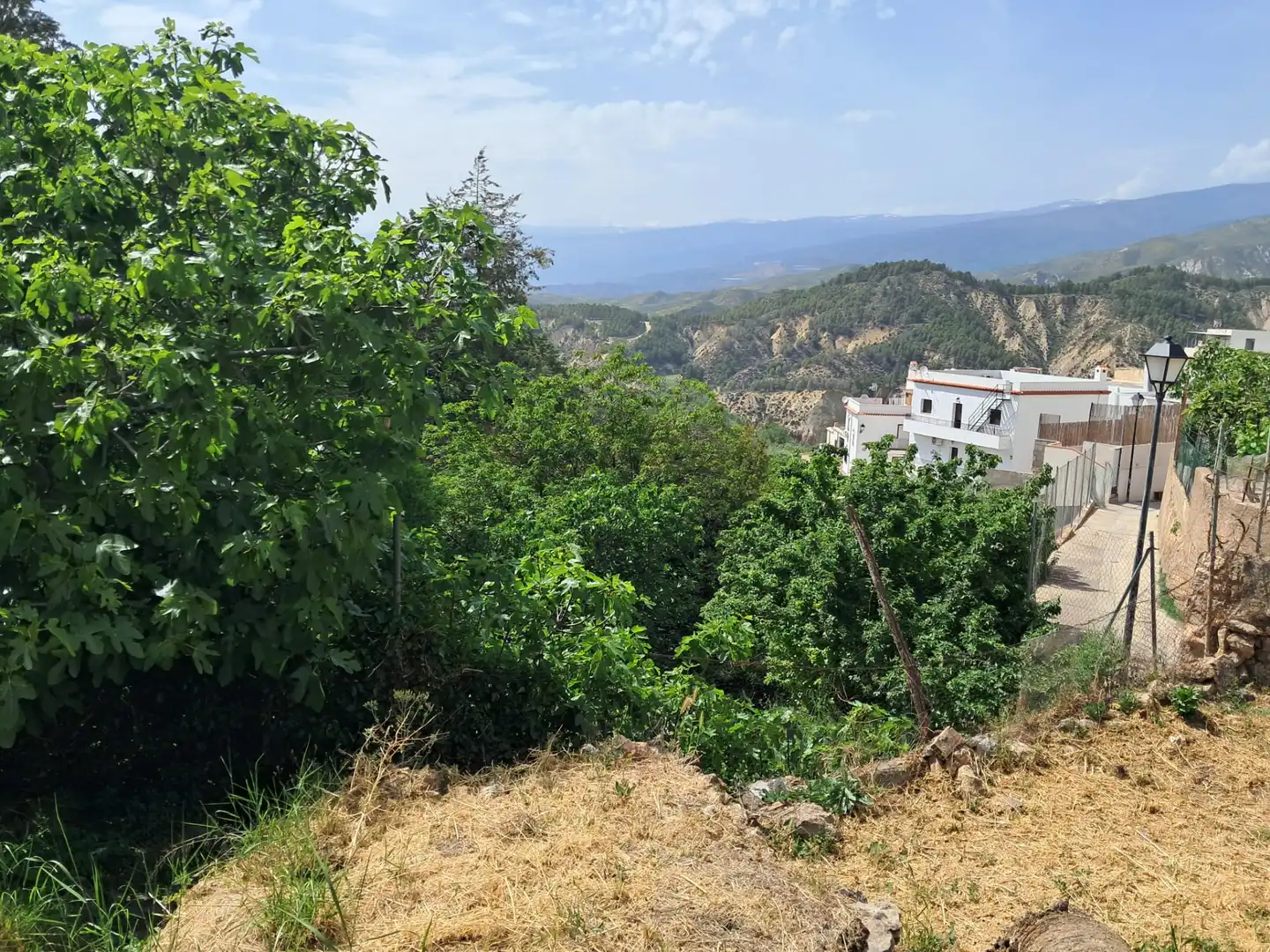 Residencial en venda en Alcolea