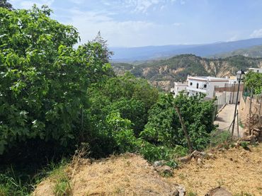 Residential land for sale in Alcolea