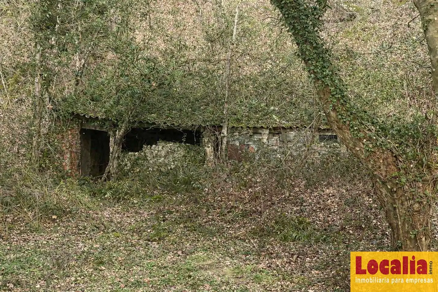 Terreni e lotti in vendita a Barrio Arriba, imagen 6