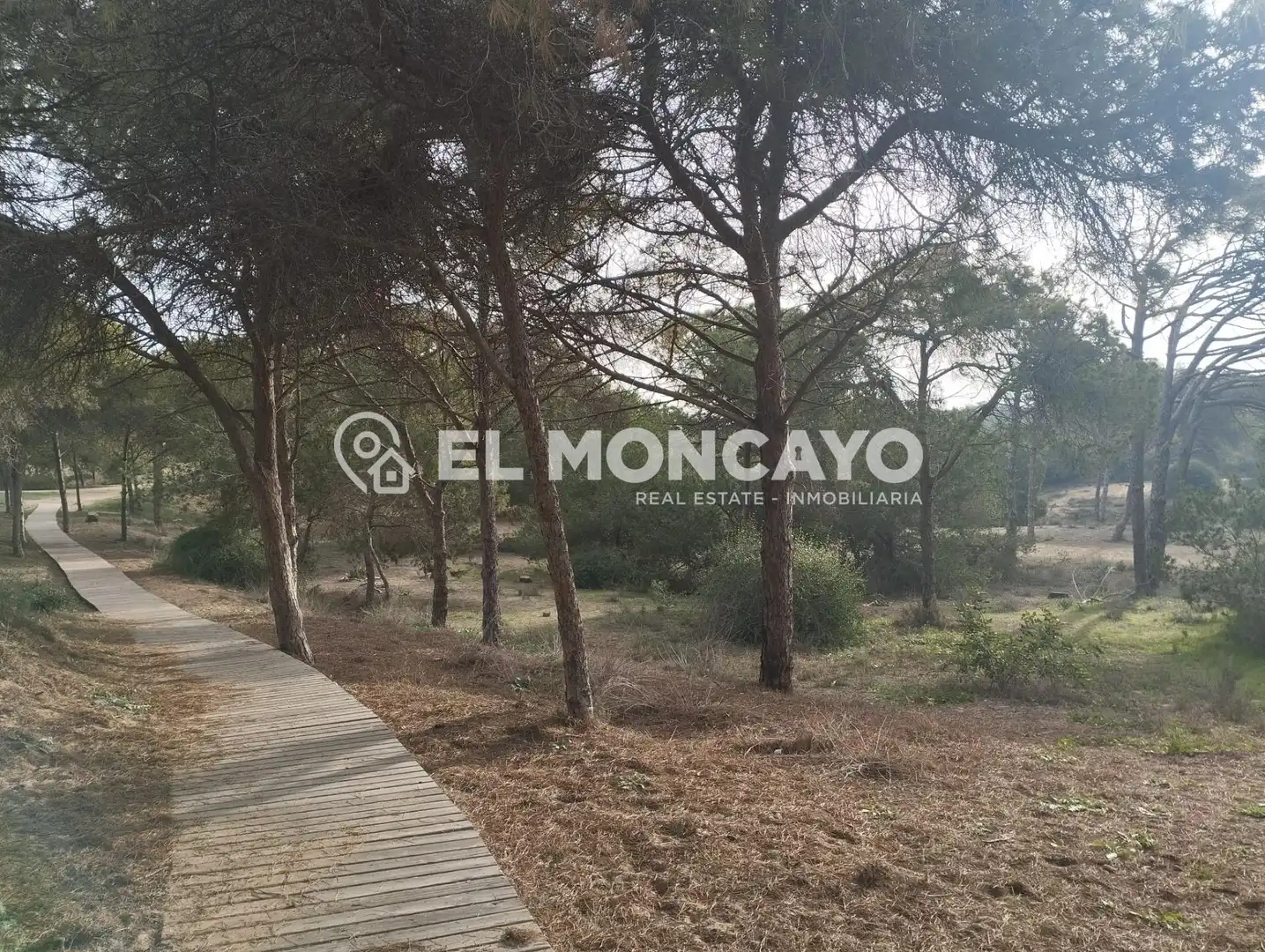 Apartament en venda a Guardamar del Segura, Alicante