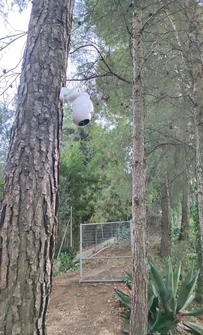 Terreny rústic de lloguer a Els Hostalets de Pierola, imagen 22
