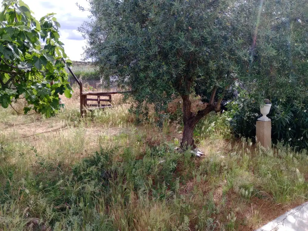 Chalet con piscina en venta en Don Benito, imagen 15
