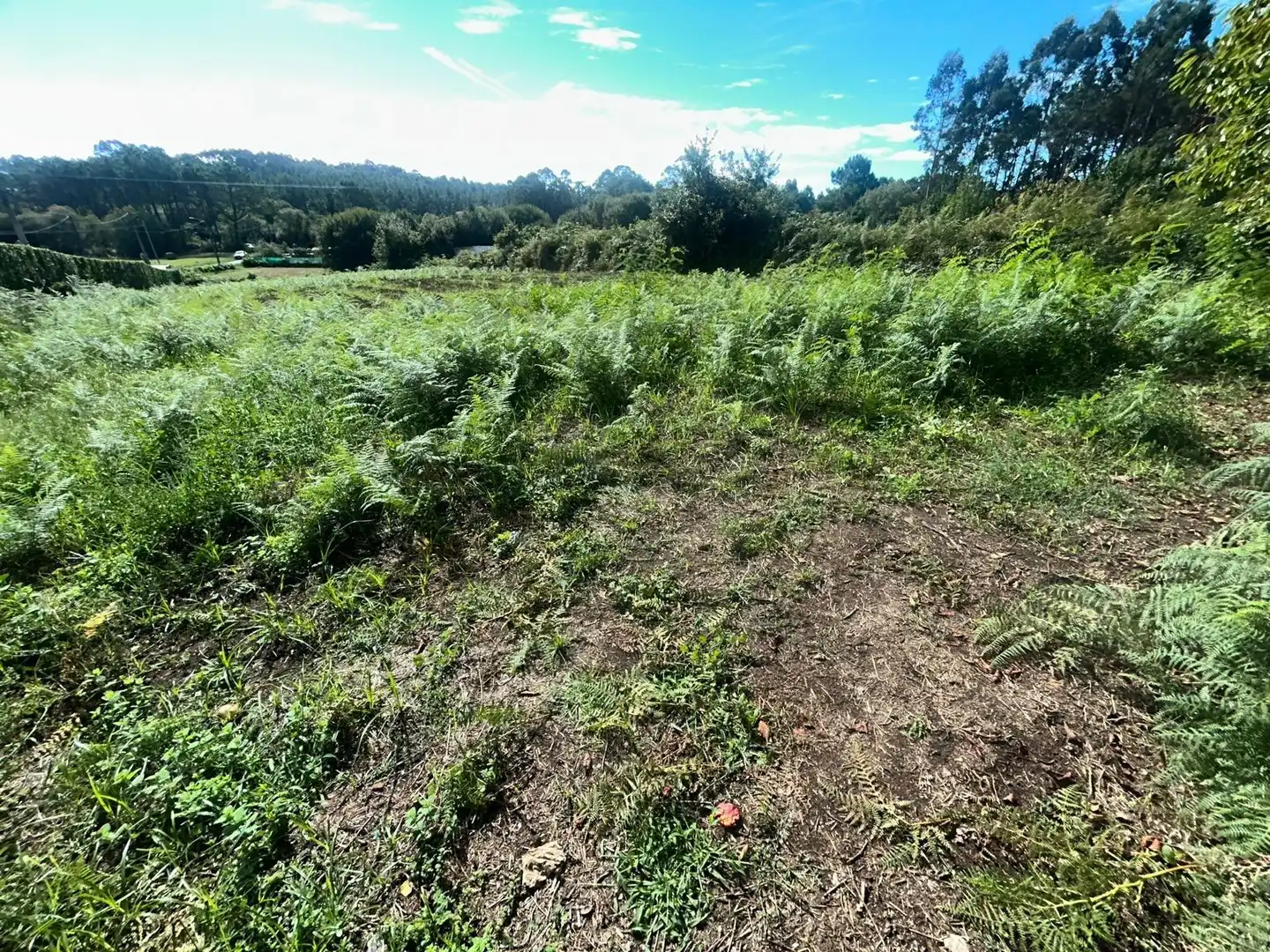 Casa o xalet en venda en Ribeira amb Jardí privat