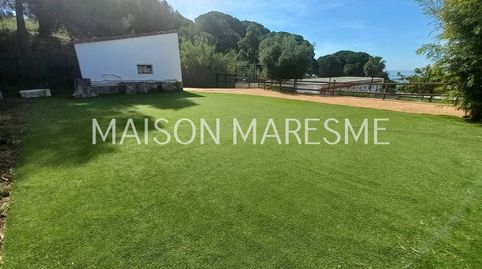 ESPECTACULAR FINCA EN VENTA, imagen 3