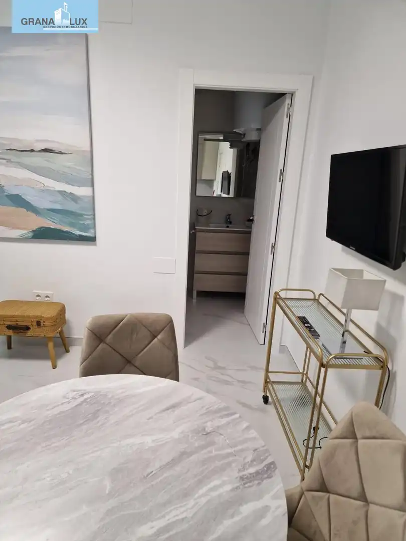 Bathroom of Apartments for rent in Granada  with Furnished
