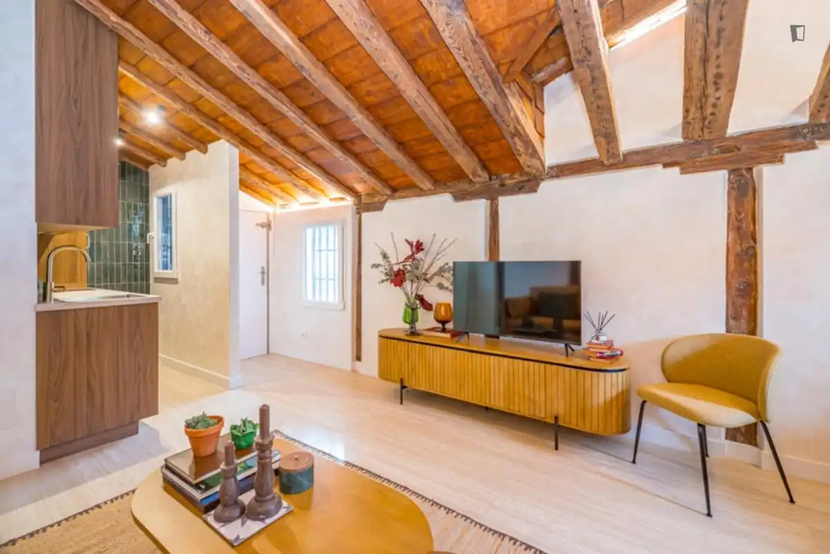 Sala d'estar de Estudi de lloguer en Madrid amb Aire condicionat, Calefacció i Moblat
