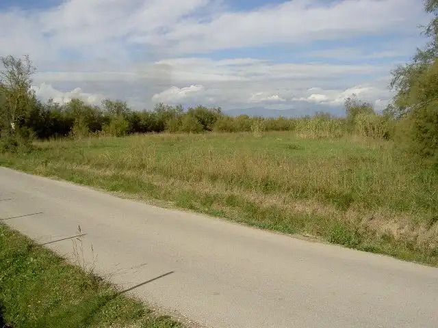 Rural land for sale in Sant Pere Pescador, imagen 61
