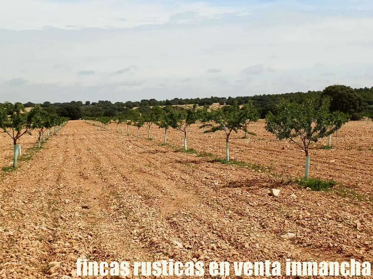 Terreni e lotti in vendita a Villarrobledo, imagen 10