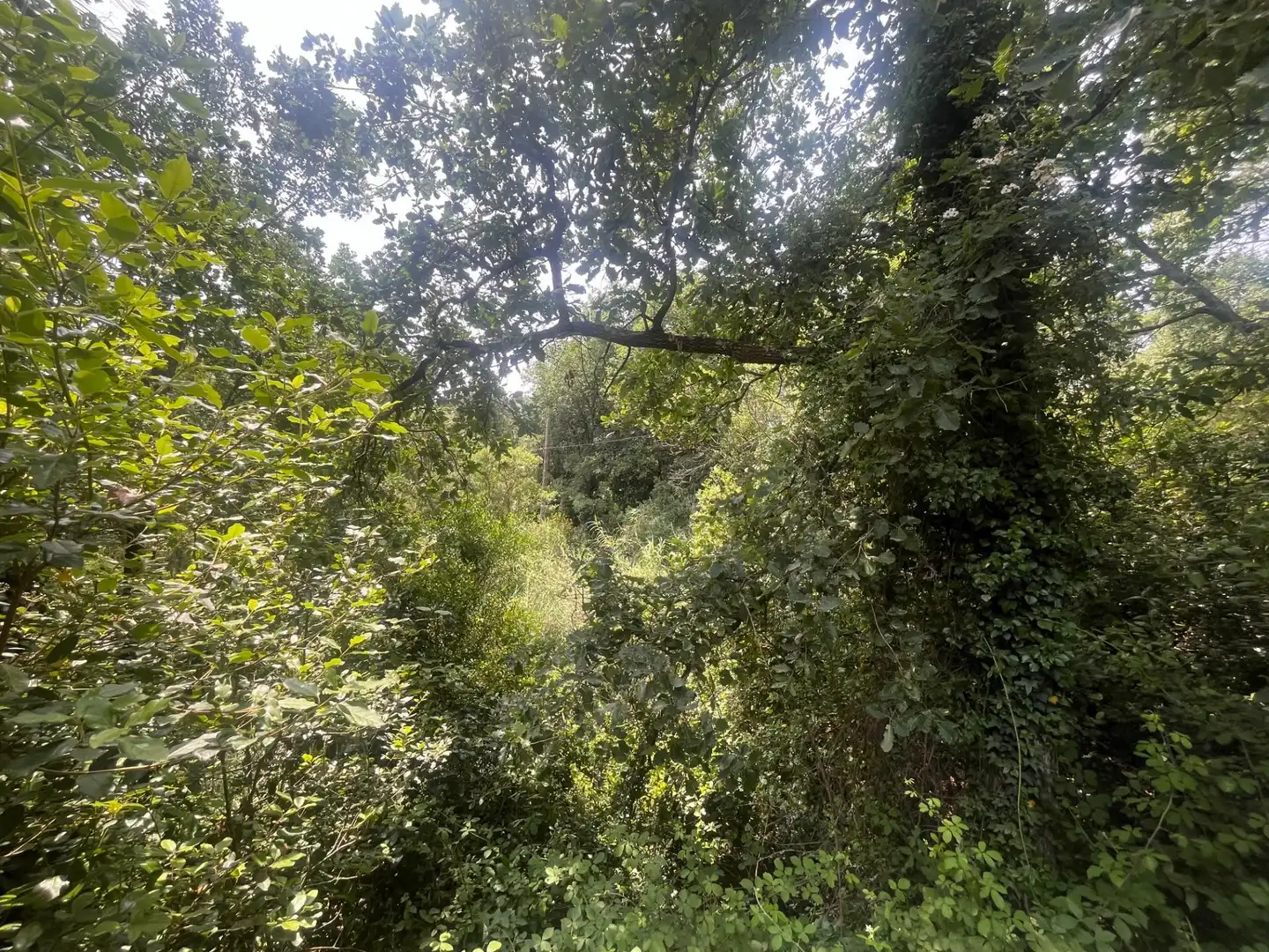 Maison rustique avec jardin à vendre à Niàgara Parc - Àgora Parc, imagen 47