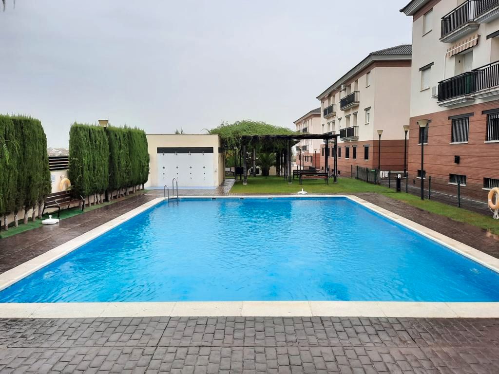 Swimming pool of Flat for sale in Las Gabias  with Storage room, Balcony and Community pool