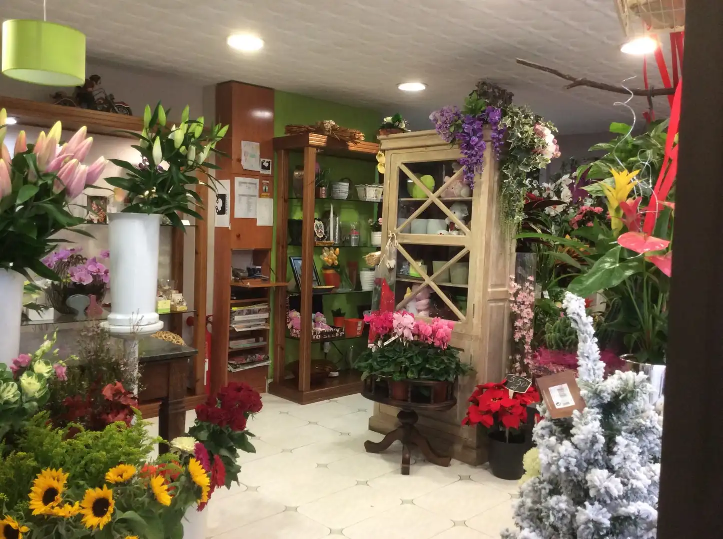 Local comercial en venda a Donostia-San Sebastián - Amezqueta trasera, imagen 2