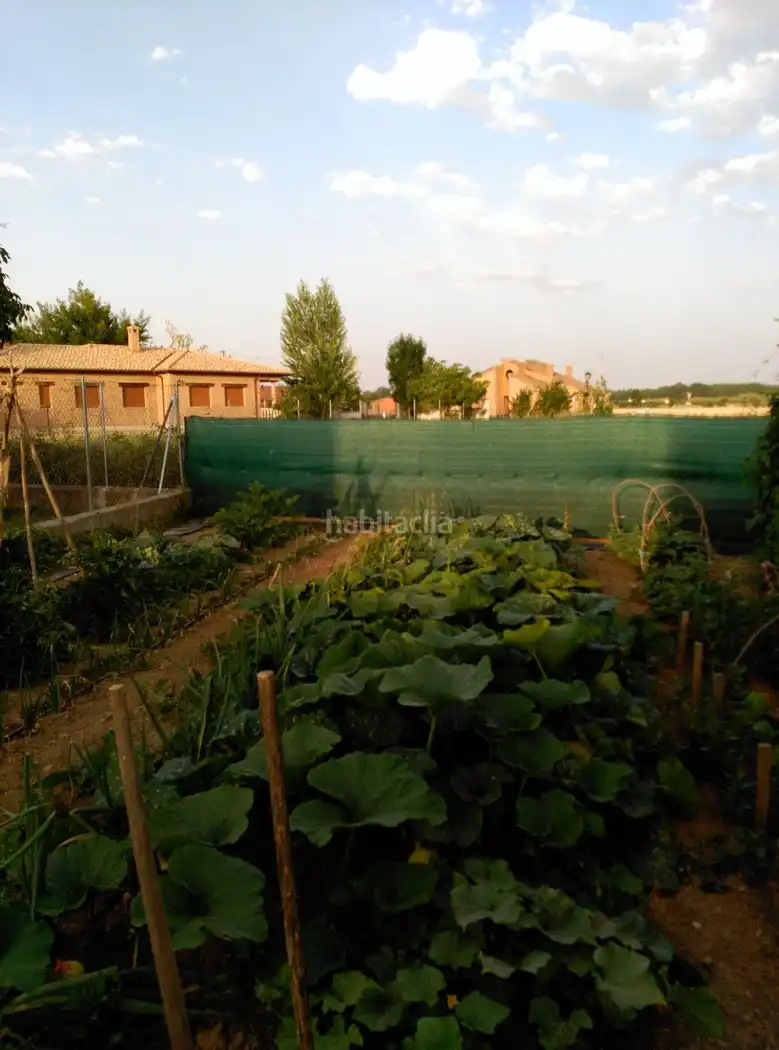 Casa con jardín en venta en Calle de la Alegria 50, imagen 22