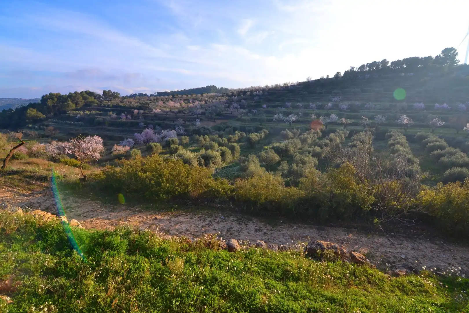 Rural land for sale in Corbera d'Ebre, imagen 52