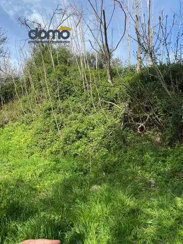 Rustikales Grundstück zum Verkauf in Camino Capilla, imagen 2