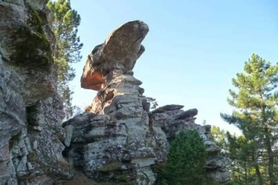 Garden of Land for sale in Cuenca