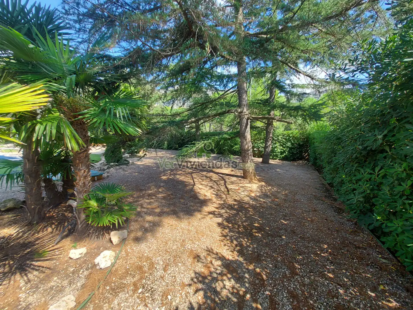 Casa o chalet en venta en Carrer Portbou, 5, Collbató