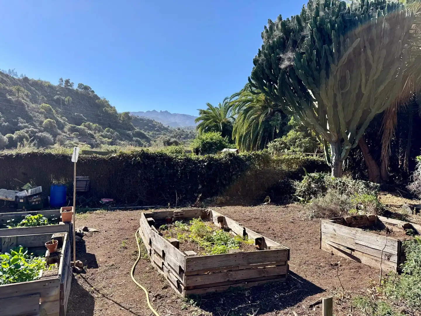 Garden of Houses for sale in Santa Brígida  with Heating, Terrace and Storage room