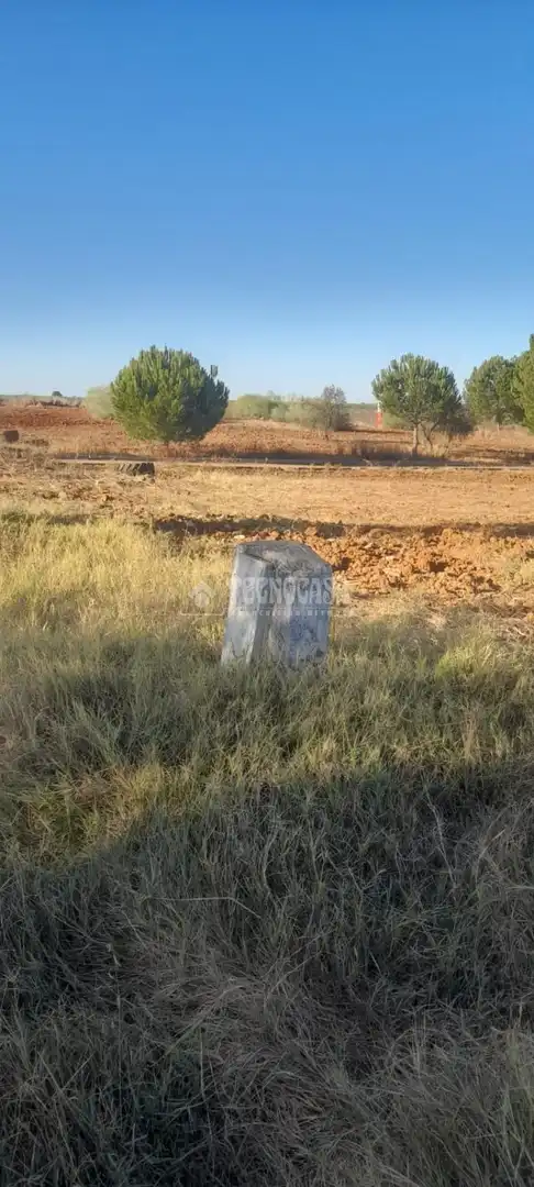Finca rústica en venta en Aznalcázar