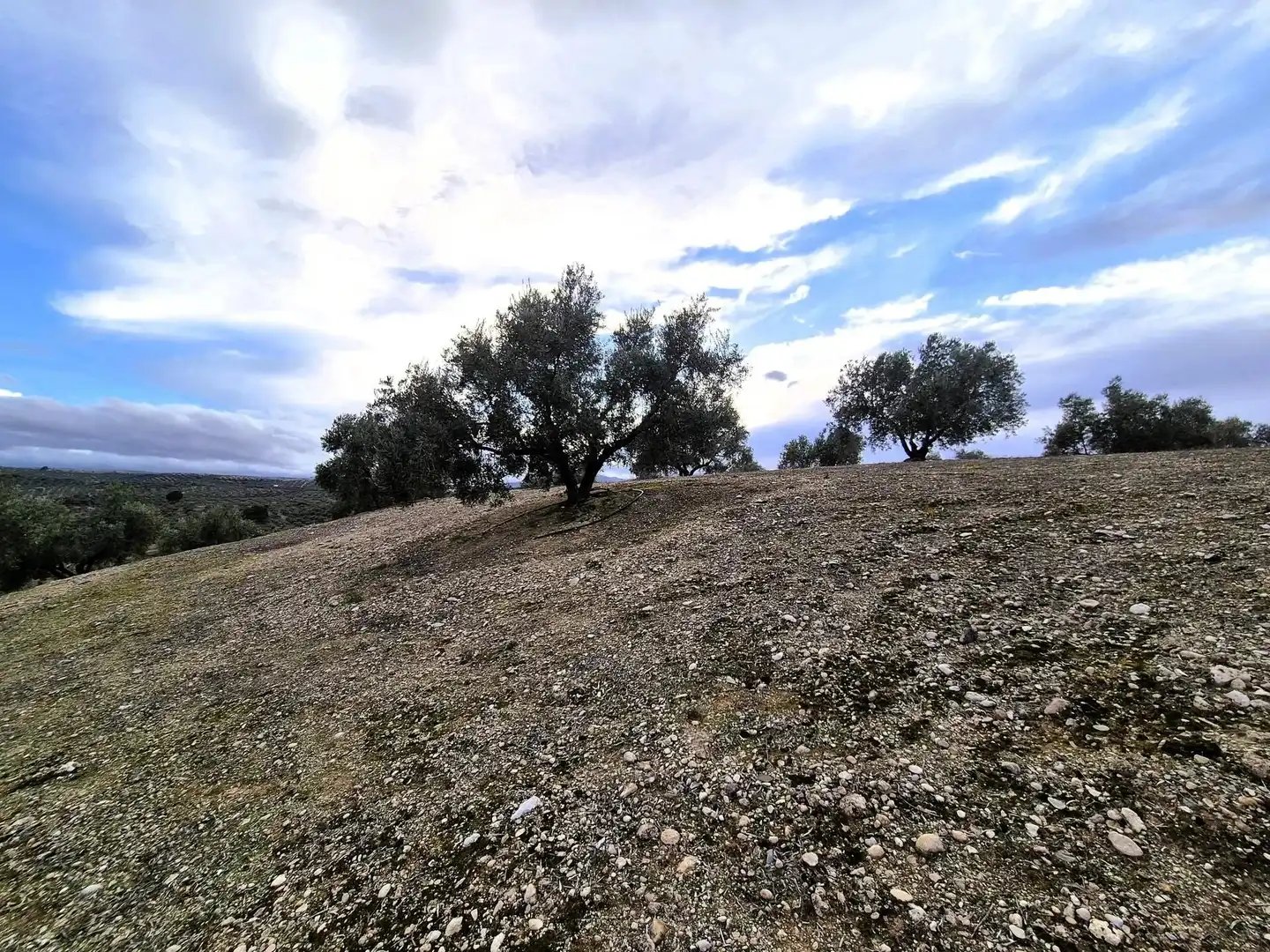 Rural land for sale in Huétor Tájar, imagen 12