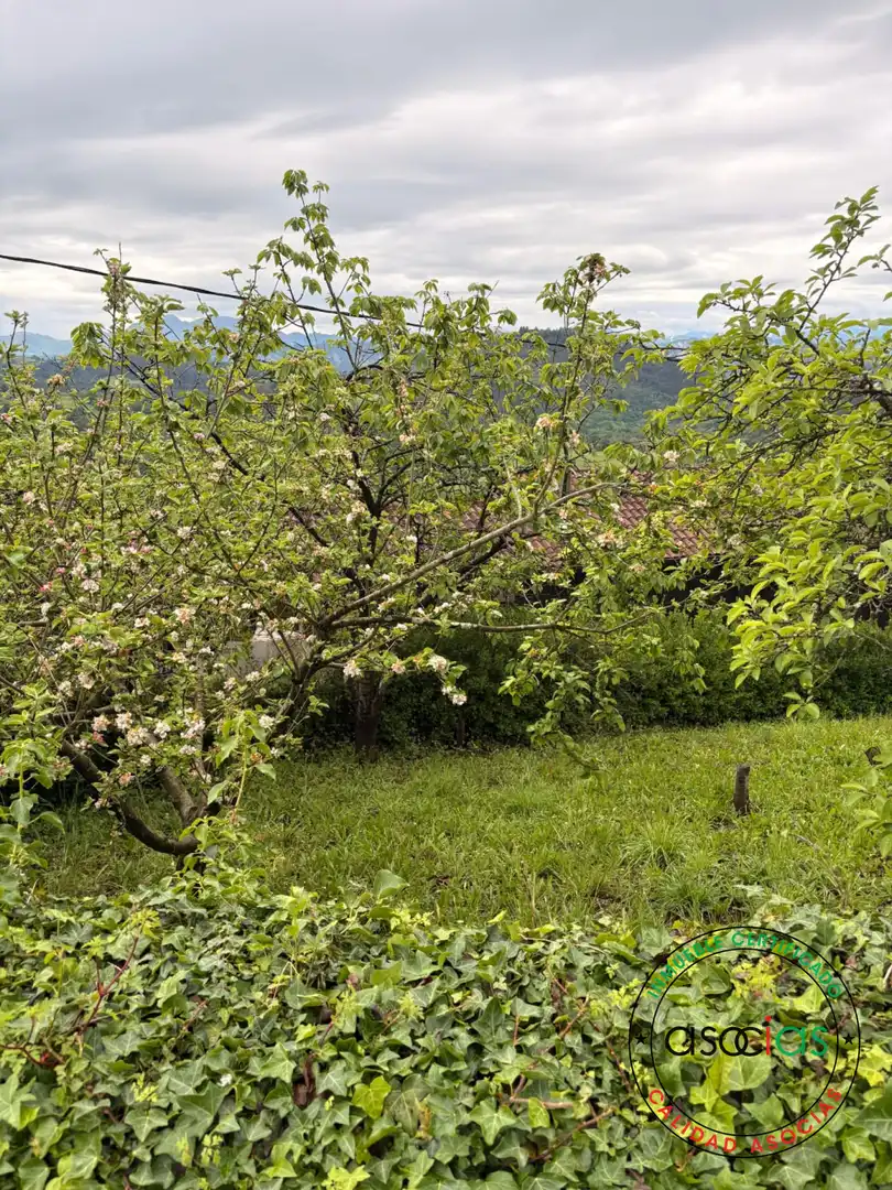 Terreni e lotti in vendita a Careses - Aldea Ordiales, imagen 14