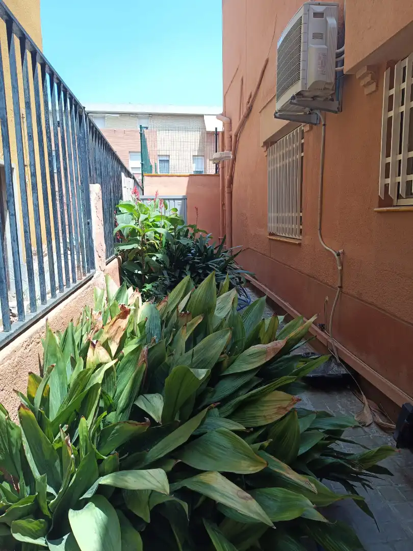 Piso en venta en Passatge Soler i Biosca, imagen 6