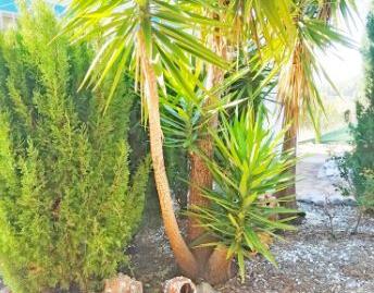 Photo 3 of Country house for sale in Parcent, Alicante