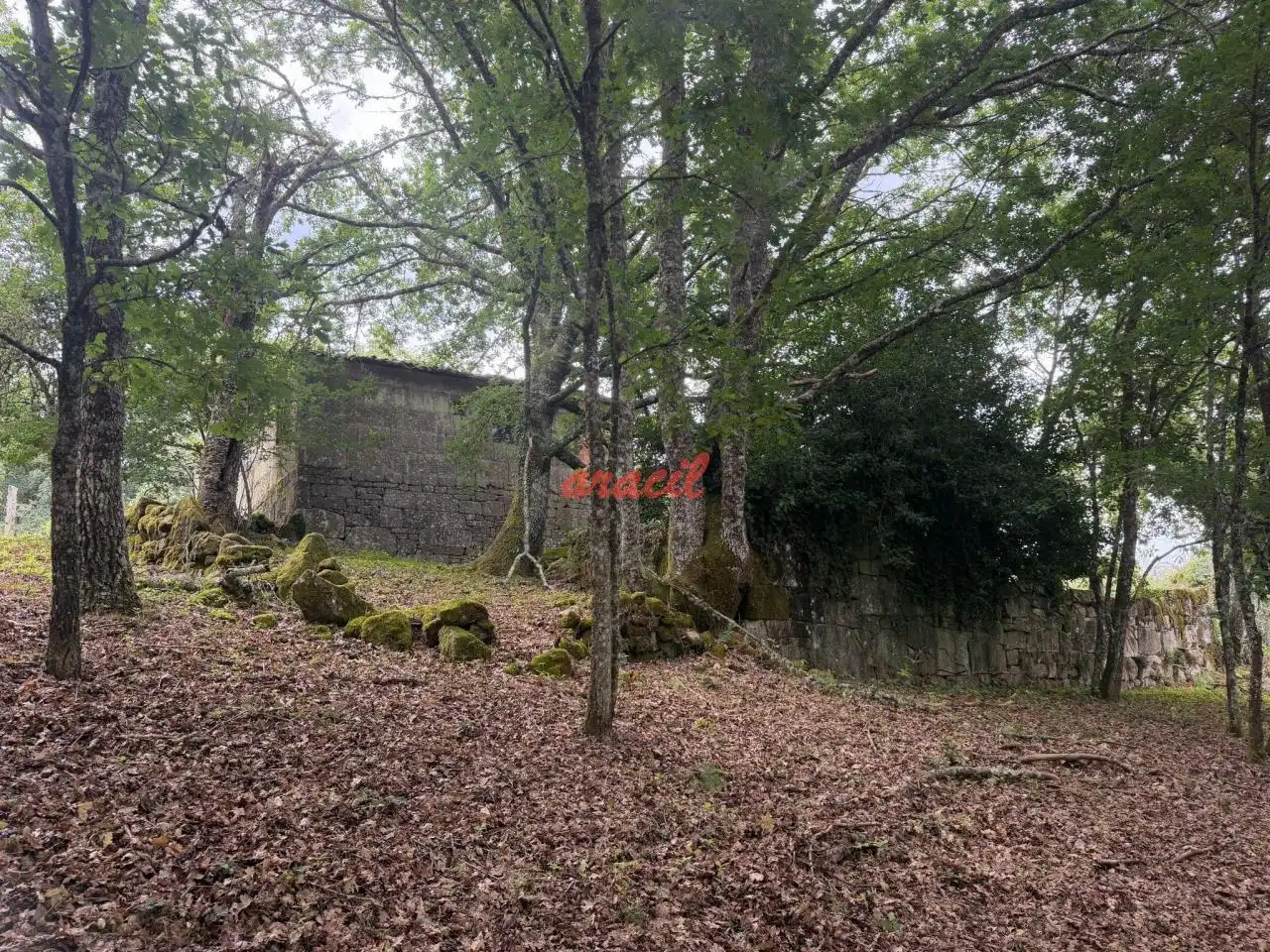 Finca rústica en venda en Amoeiro amb Calefacció, Jardí privat i Balcó
