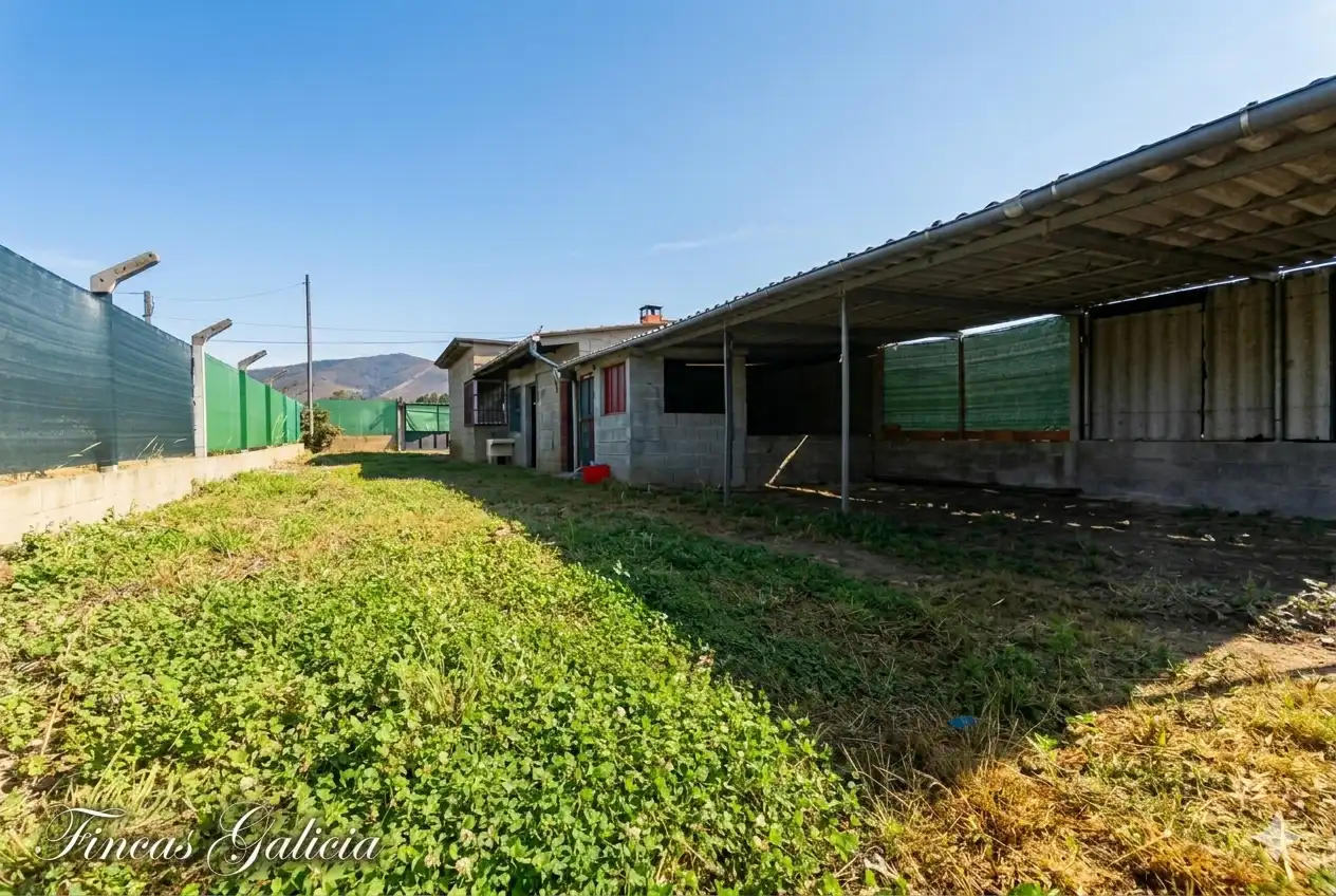 Lands and plots for sale in Verín