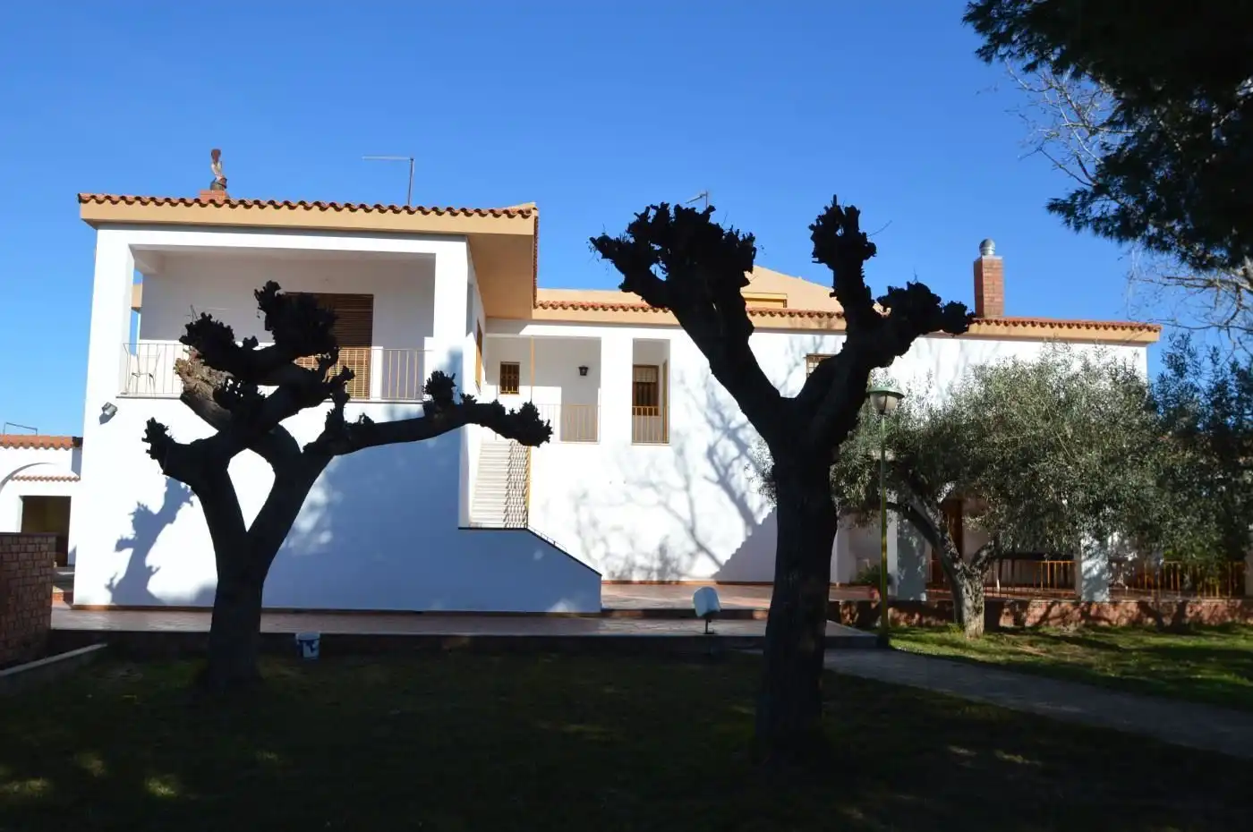 Vista exterior de Casa o chalet en venta en Benicarló con Aire acondicionado, Calefacción y Jardín privado