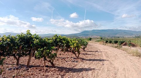 Foto 4 de Finca rústica en venta en N/a, Entrena, La Rioja