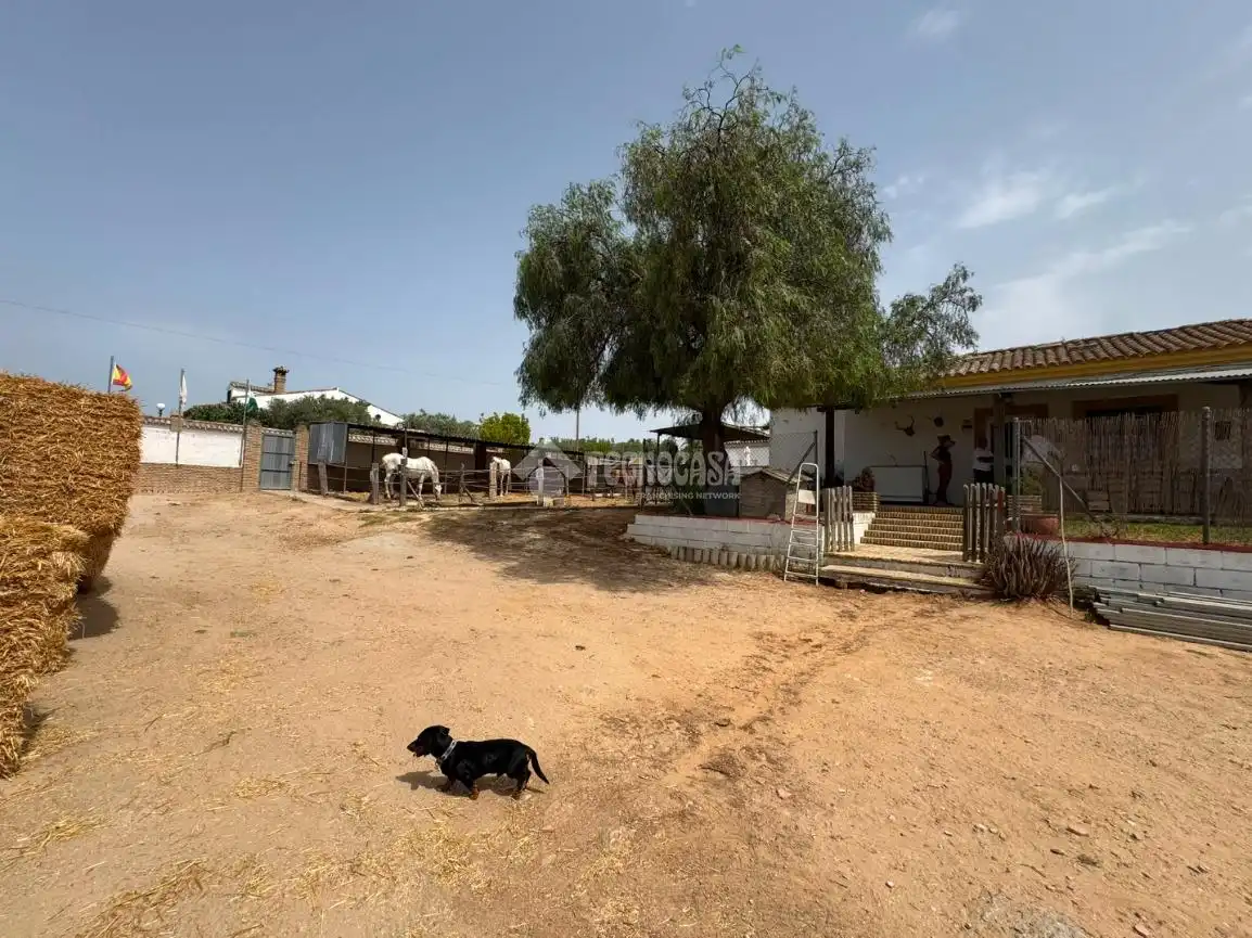 Casa rústica amb jardí en venda a Ctra Sanlúcar - Cuatro Pinos, imagen 22