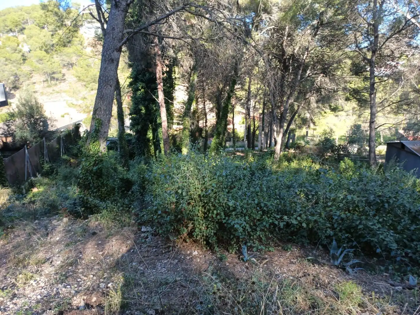 Wohnbaugrundstück zum Verkauf in Carrer de Càceres 2, imagen 4