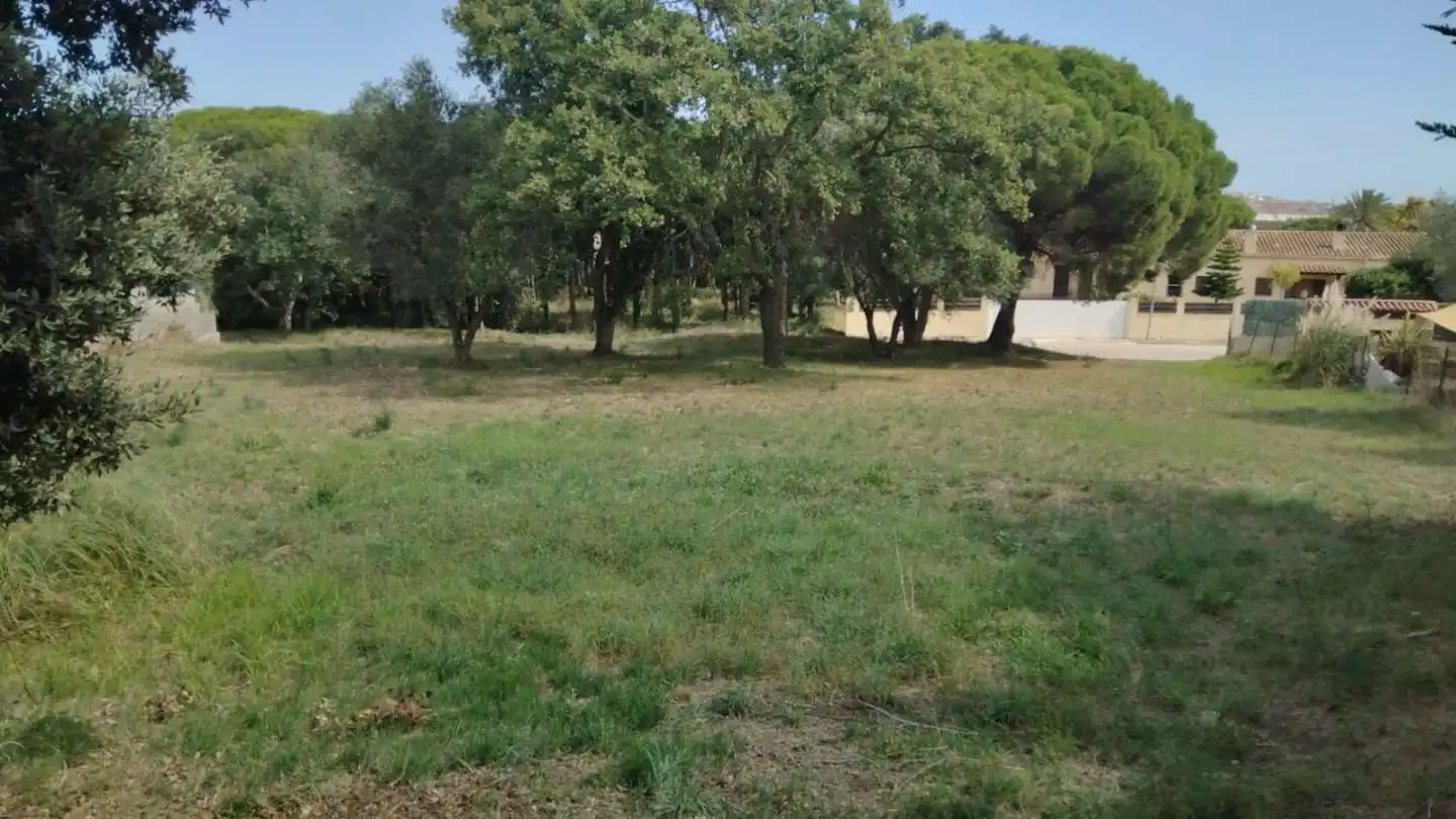 Terrenys i solars en venda a Puig Ses Forques - Torre Colomina, imagen 2