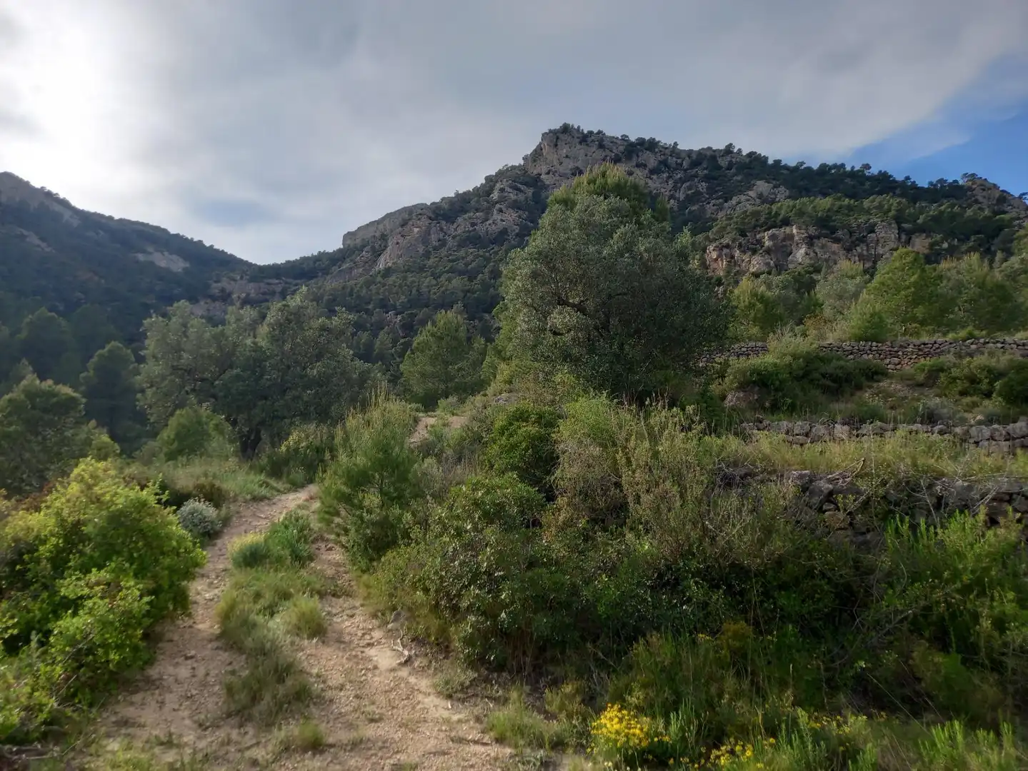 Rural land for sale in El Pinell de Brai, imagen 34