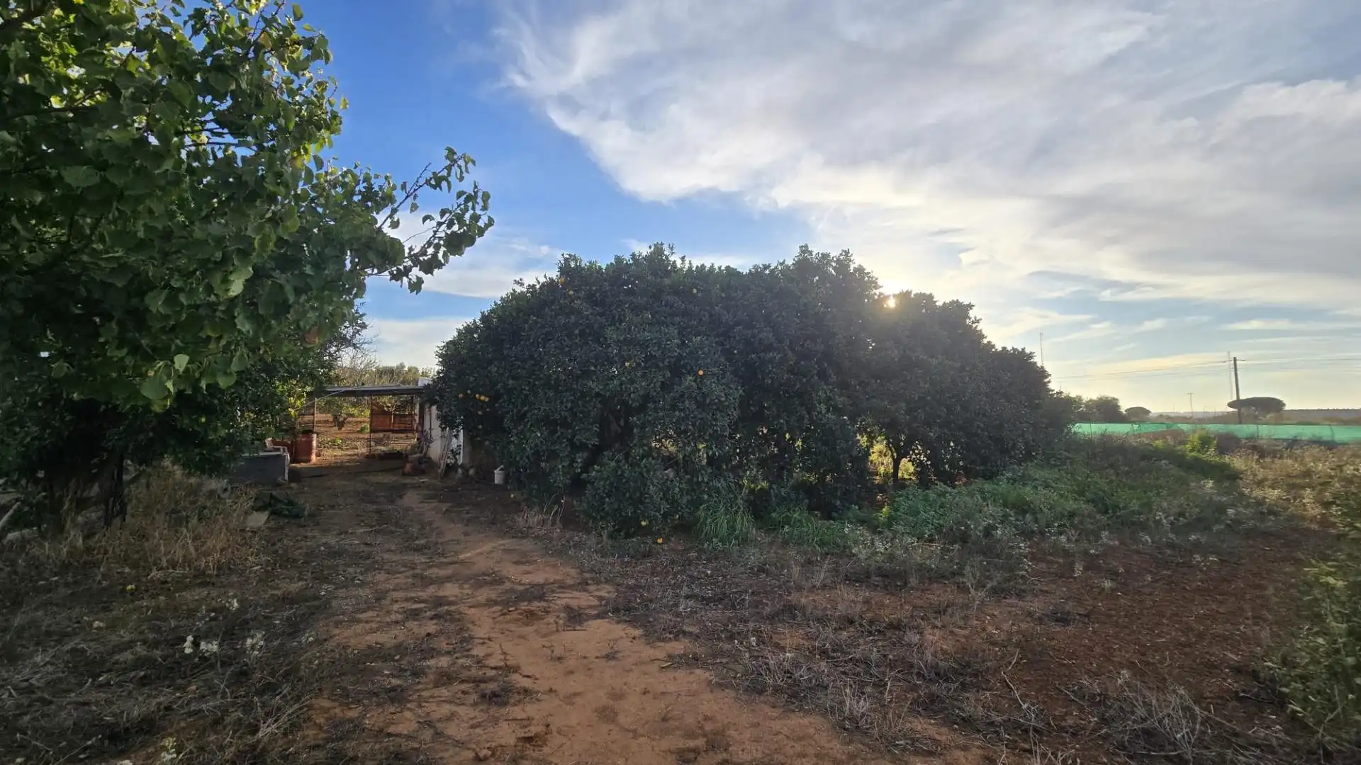 Land for sale in Los Franceses – La Vega