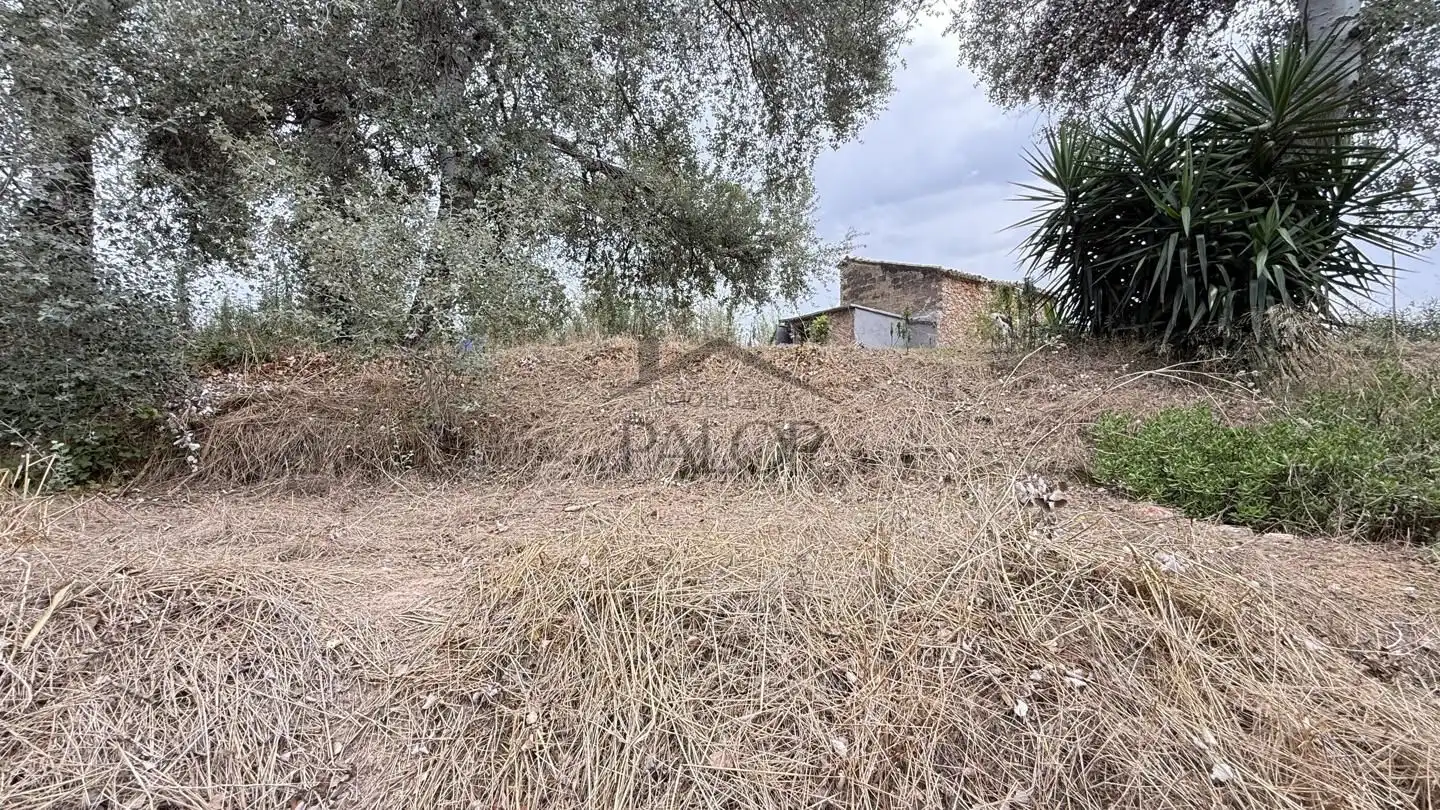 Maison rustique avec jardin à vendre à Carcaixent, imagen 12