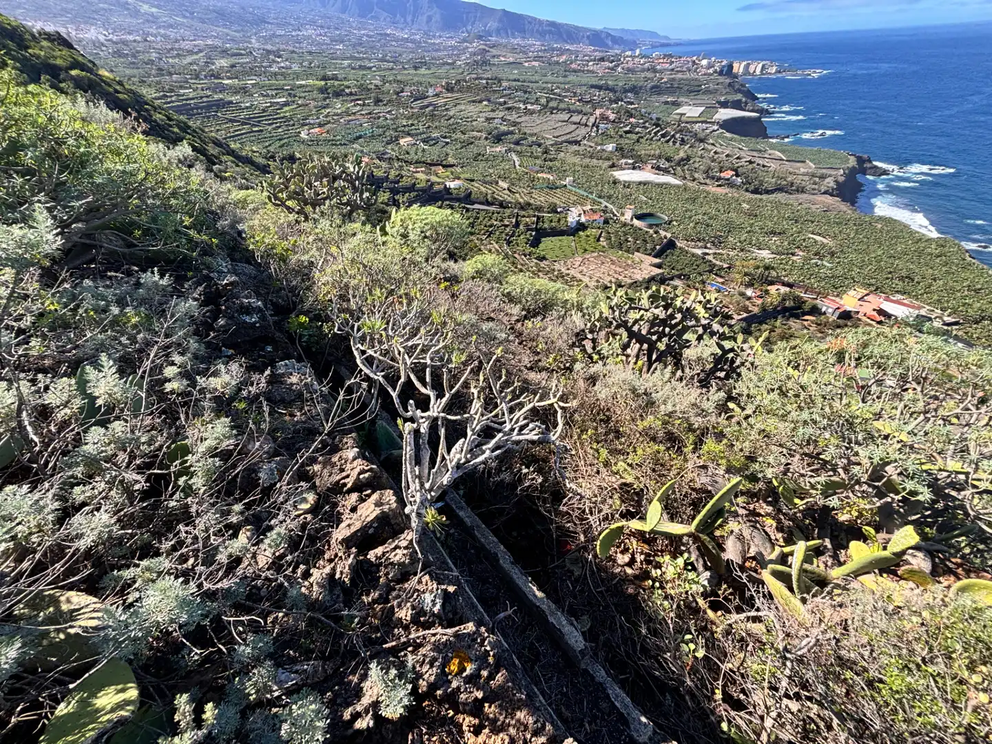 Terreno rustico in vendita a Camino de San Diego, imagen 15