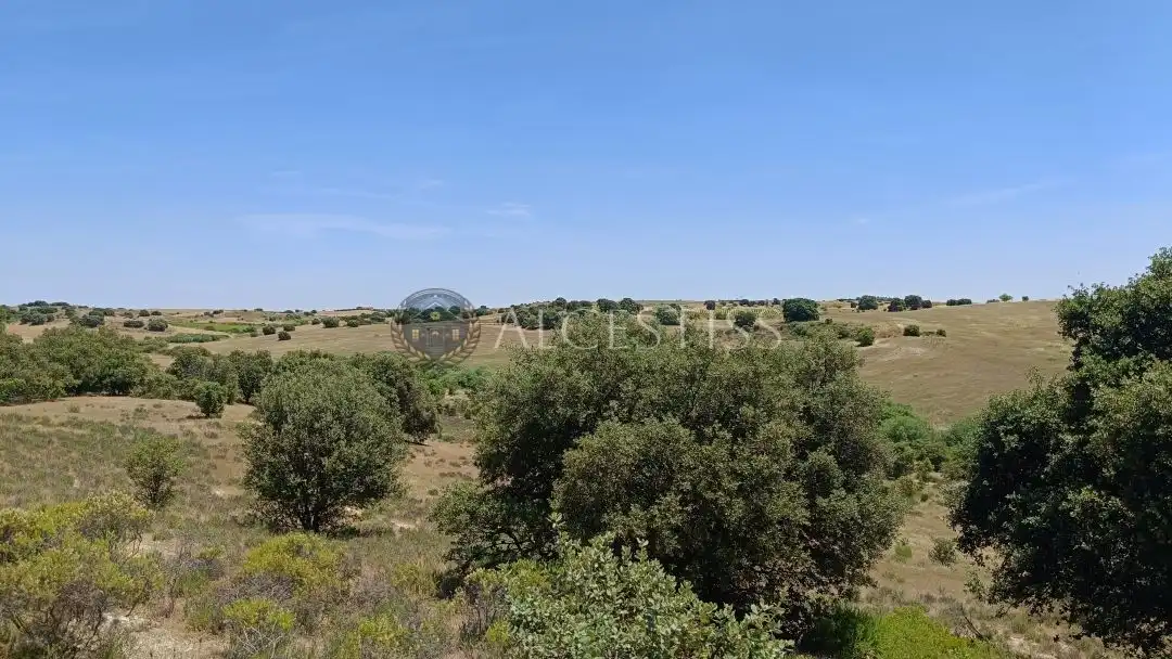 Terreno en venta en La Torre de Esteban Hambrán